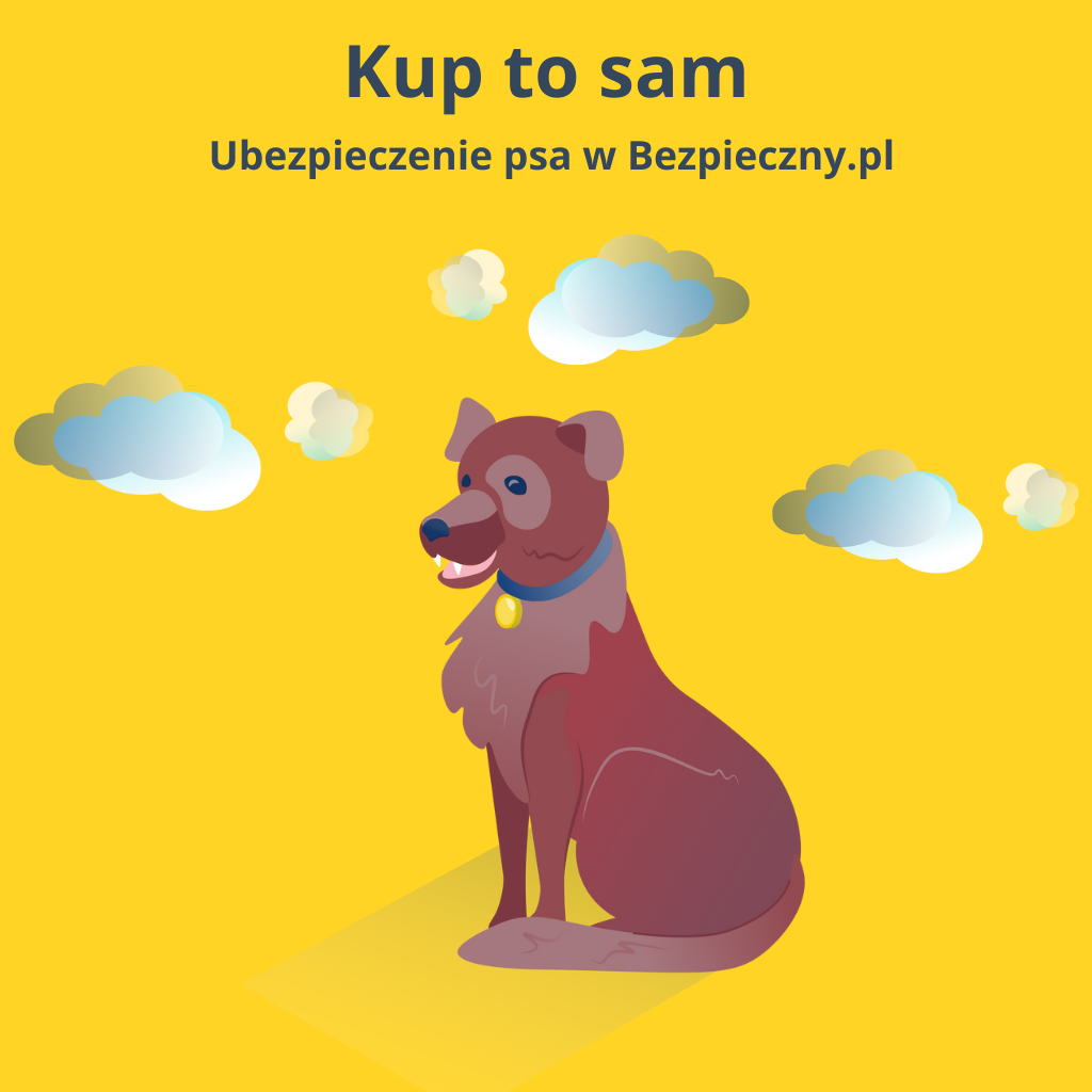 Kliknij by kupić ubezpieczenie psa w Bezpieczny.pl